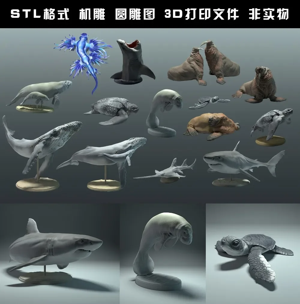 Hewan, beruang kutub, takin, s - 3D Printing Files ulasan dan harga